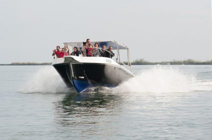 Xarter Nautic Eli