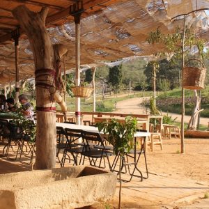 Temps De Terra Amposta