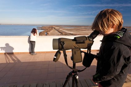 Ebro Delta Bird Census