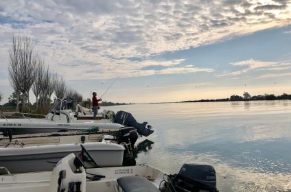 Pêche Delta de l'Ebre