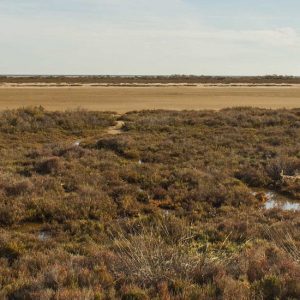 La Tancada Delta de l'Ebre