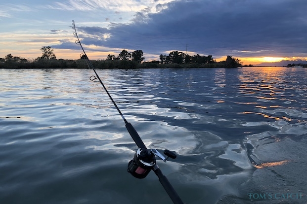 Delta Del Ebro Pesca