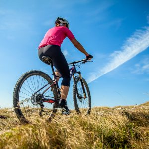 Actividades Con Bicicleta Delta Del Ebro