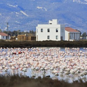Visite du Musée de Mon Natura Delta