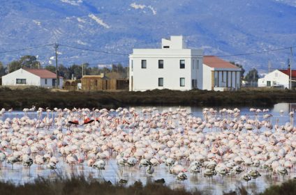 Mon Natura Visit Museum