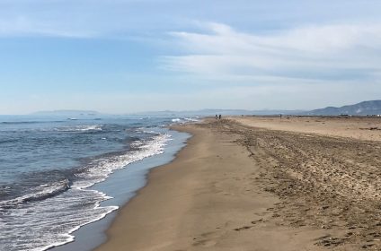 Platja Dels Eucaliptus Amposta