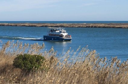 Cruise The Ebro River