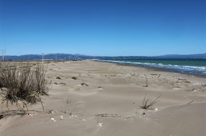 Playa De La Marquesa