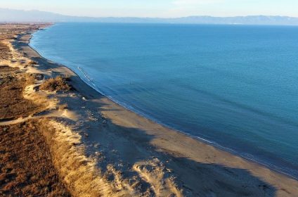 Playa Con Perros Cerca de Riumar