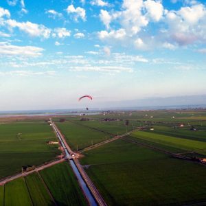 93UA cebolla voladora 18 | Turismo Delta del Ebro
