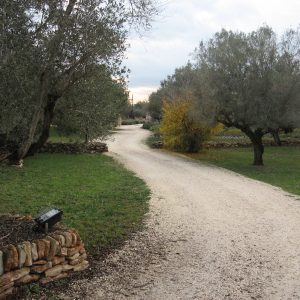IMG 1006 | Turismo Delta del Ebro