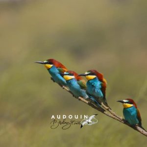 58378011 10156558813073992 1785070429208051712 n | Turismo Delta del Ebro