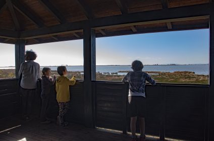 Birdwatching Poble Nou del Delta