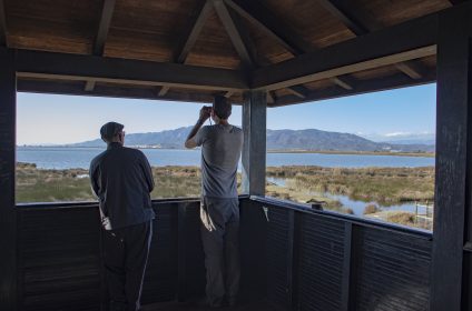 Mirador Amposta