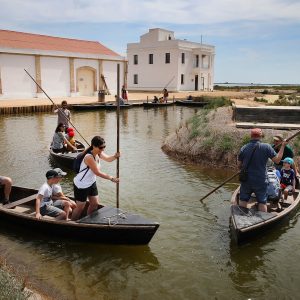 MNdelta2019 068 | Turismo Delta del Ebro