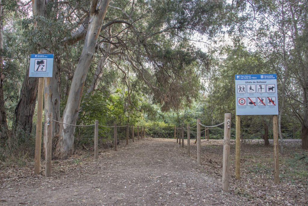 Ullals de Baltasar Senderisme