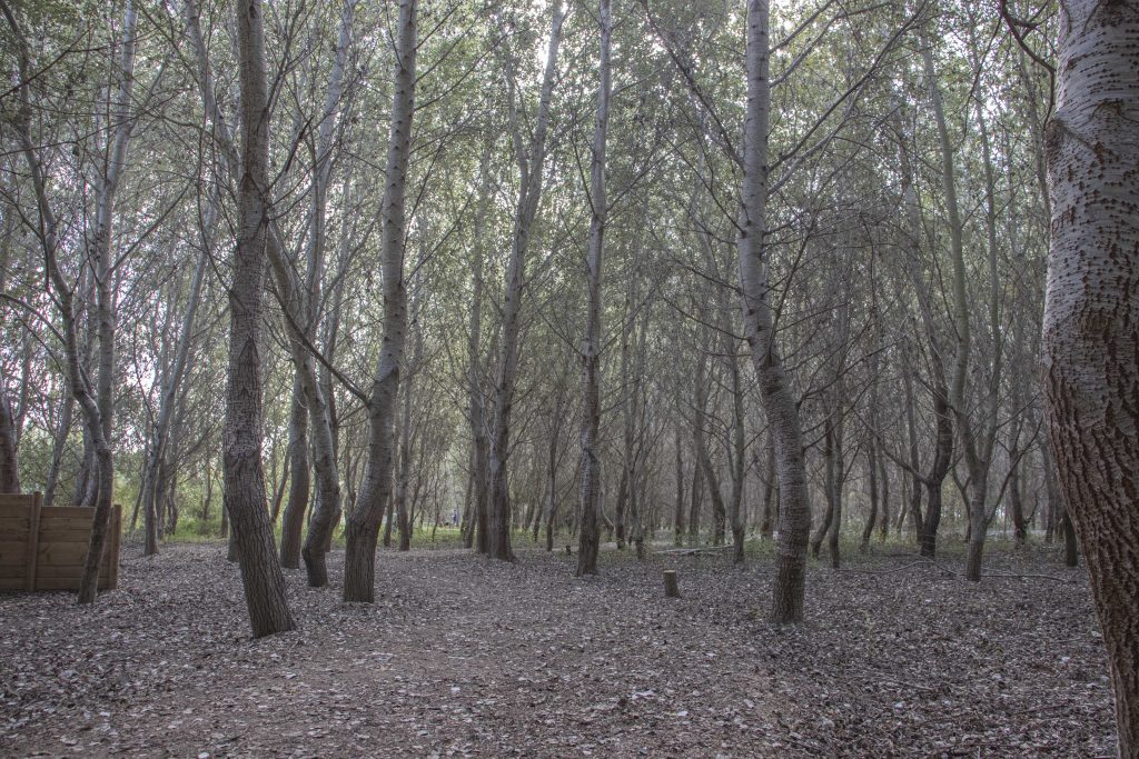 Els Ullals de Baltasar
