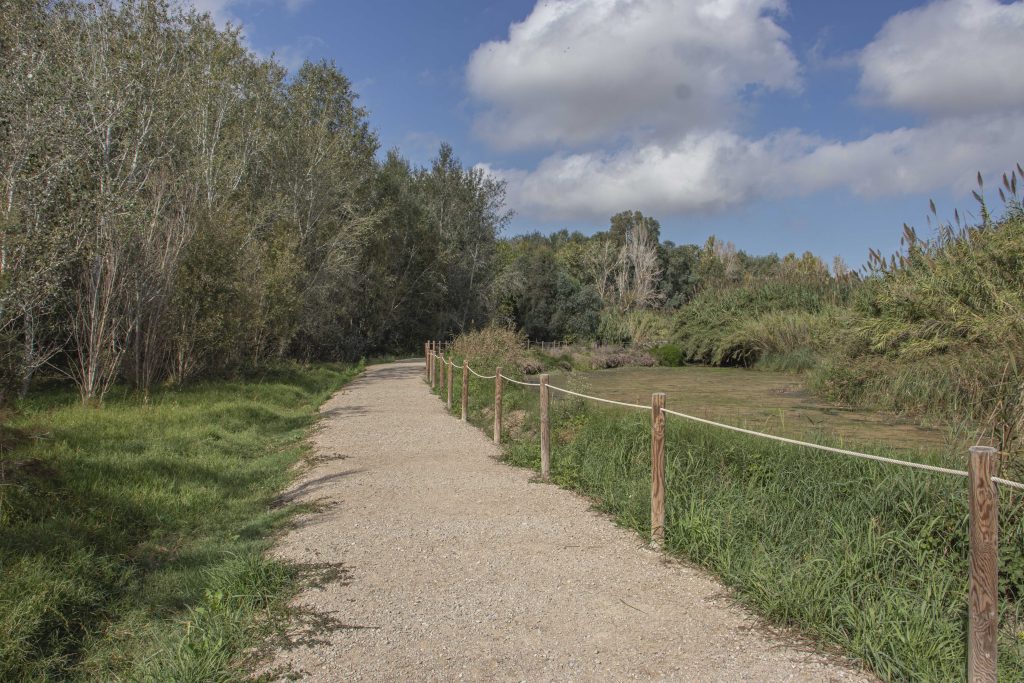 Ullals De Baltasar