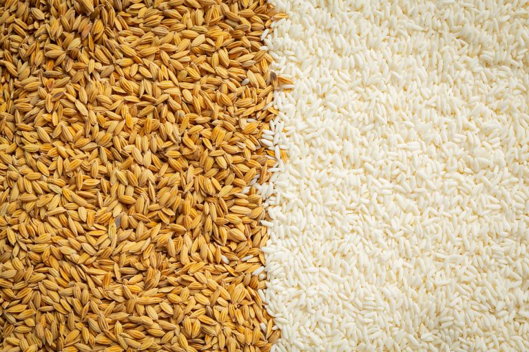 detalles-papel-tapiz-arroz-cascara-arroz-blanco-min